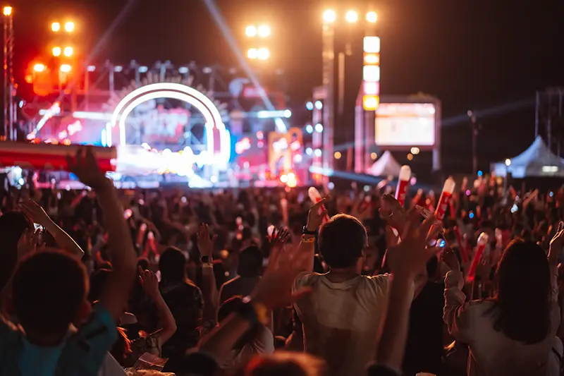 people at a rock concert